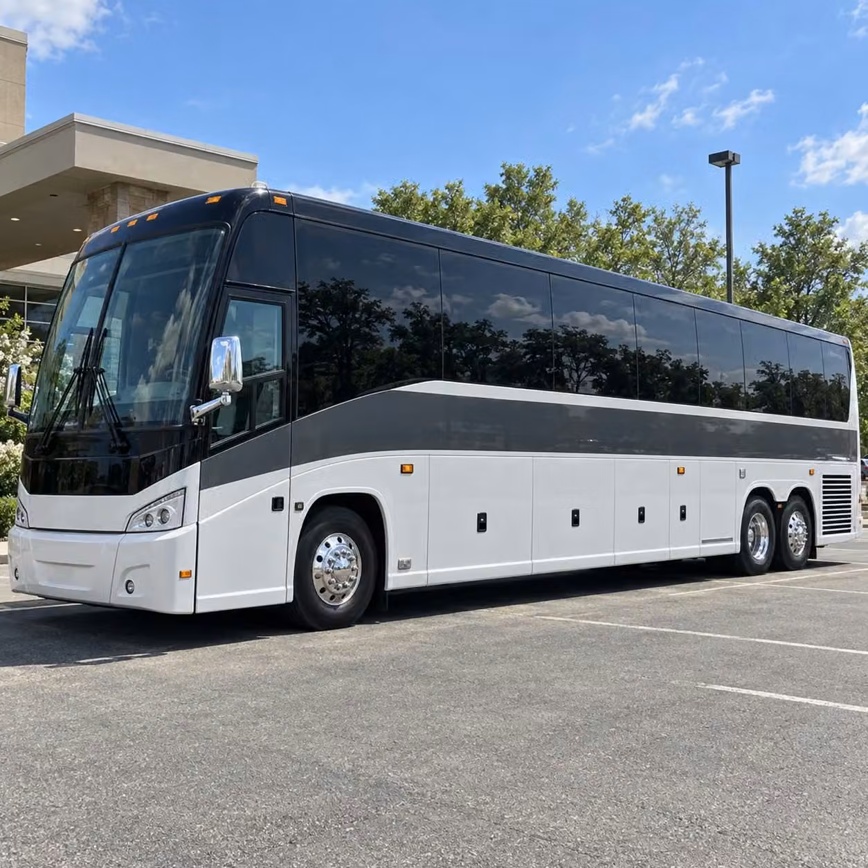 56 passenger charter bus